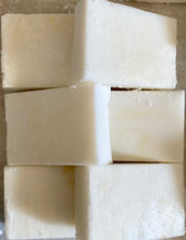 Load image into Gallery viewer, Stain Remover